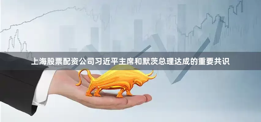 上海股票配资公司习近平主席和默茨总理达成的重要共识
