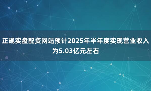 正规实盘配资网站预计2025年半年度实现营业收入为5.03亿元左右