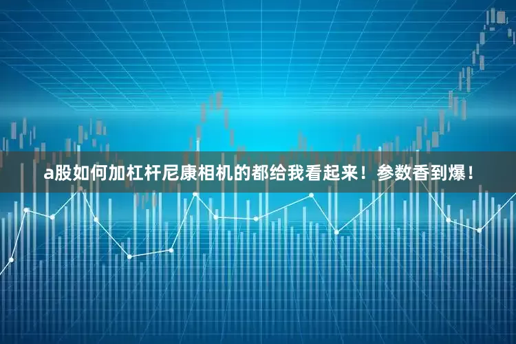 a股如何加杠杆尼康相机的都给我看起来！参数香到爆！