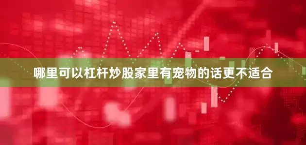哪里可以杠杆炒股家里有宠物的话更不适合